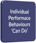 Individual Performance Behaviours Can Do